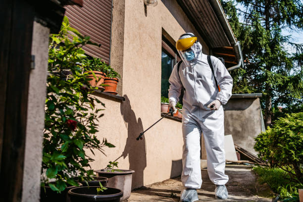 Best Pest Control Near Me in Martin, TN