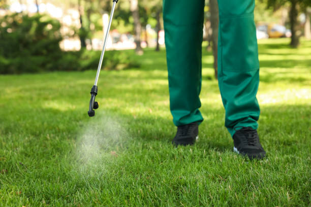 Best Pest Removal Services  in Martin, TN