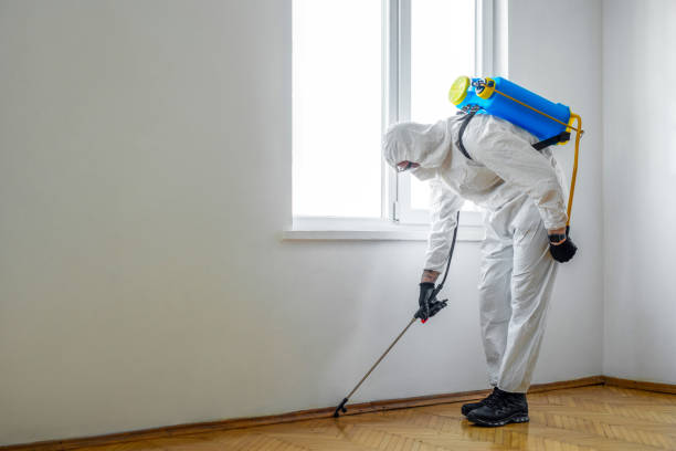Wildlife Control Services in Martin, TN