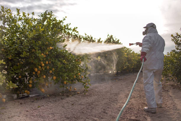 Trusted Martin, TN Pest Control Experts