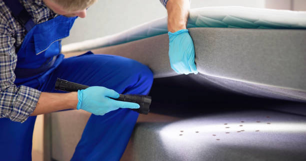 Best Wasp Removal Services  in Martin, TN
