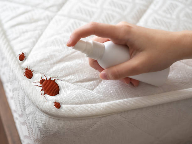Best Commercial Pest Control Services  in Martin, TN