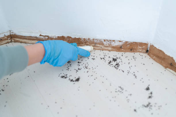 Best Wildlife Control Services  in Martin, TN
