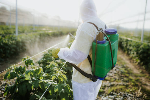 Best Insect Control  in Martin, TN